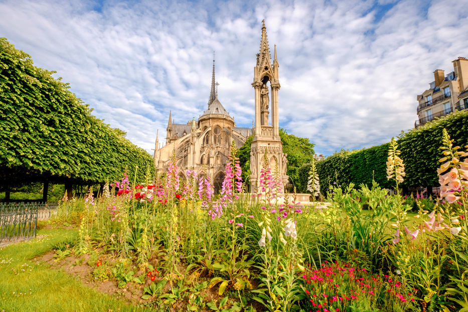 Garden by Notre Dame De Paris Cathedral